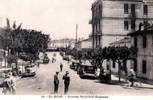 Alger - El-Biar - Avenue du Marechal Bugeaud